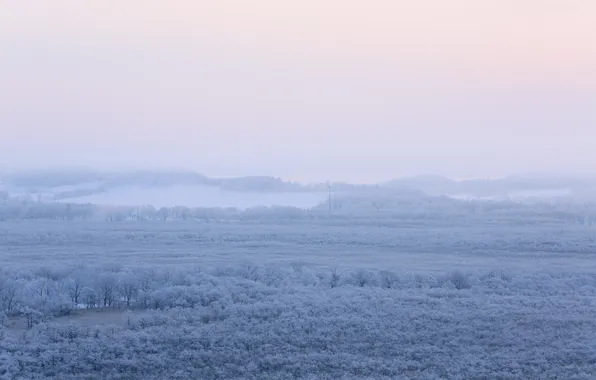 Picture landscape, nature, fog, morning