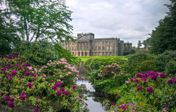 Trees, flowers, pond, Park, England, HDR, beautiful, houses