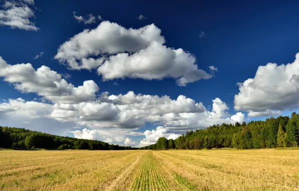 Picture Nature, Clouds, Sky, Field