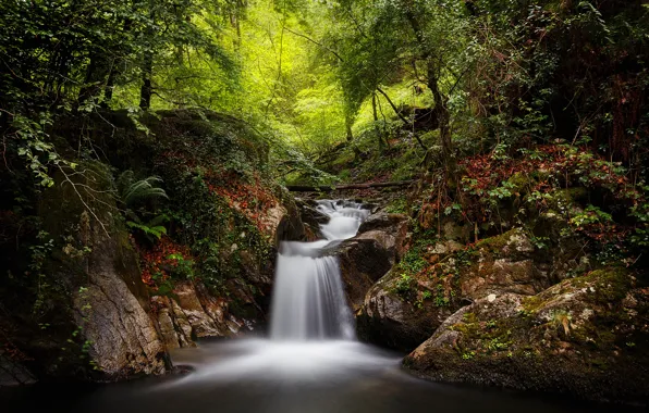 Forest, stream, waterfall, Spain, Spain, Navarre, Navarre, Goizueta