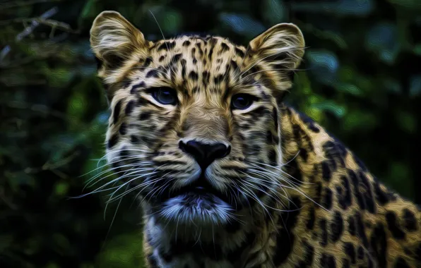 Face, leopard, coloring