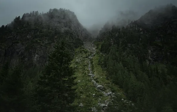 Picture trees, mountains, nature, fog, stones, rocks