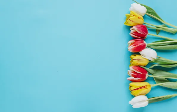 Flowers, yellow, bouquet, spring, colorful, tulips, fresh, yellow