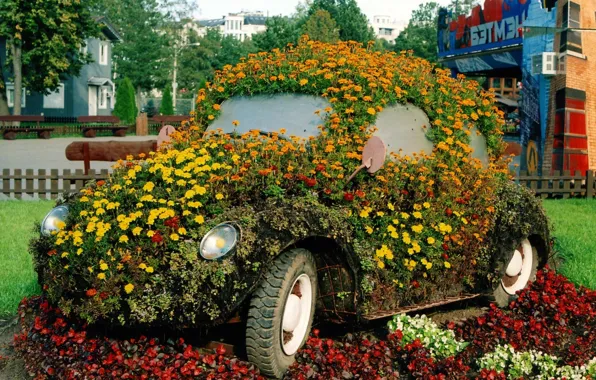 Flowers, beetle, garden, flowerbed, the idea