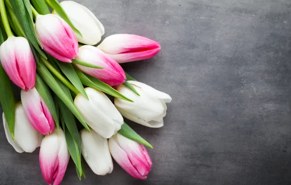 Picture flowers, bouquet, tulips, pink, white, white, fresh, pink