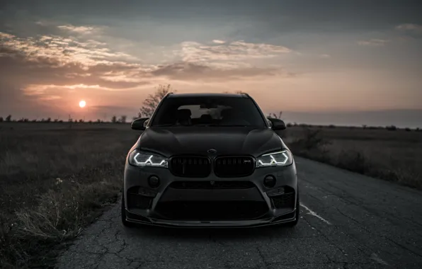 Sunset, front view, 2018, BMW X5, X5M, Z Performance