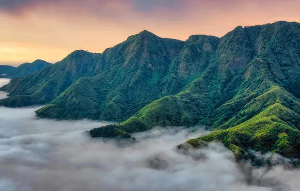 The sky, mountains, fog, vegetation, the slopes, tops, morning, relief