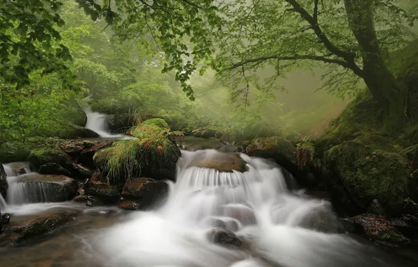 Forest, stream, stones, waterfall, river, Spain, cascade, Spain
