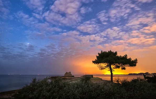 The sky, the sun, clouds, sunset, blue, tree, shore, vegetation
