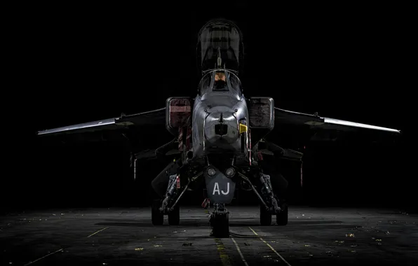 Jaguar, the airfield, fighter-bomber, SEPECAT