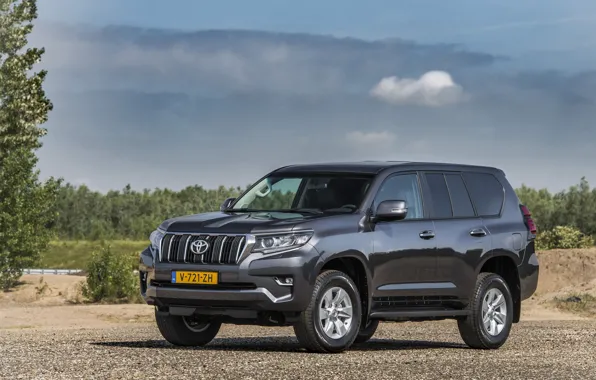 Unbeatable? Great Wall'S Land Cruiser Challenger Dominates Pre Orders - 7aerqpz