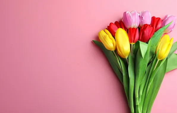 Flowers, bouquet, colorful, tulips, flowers, tulips, spring, bouquet