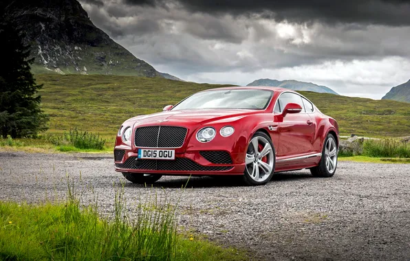 Bentley, Continental, Speed, Bentley, continental, 2015