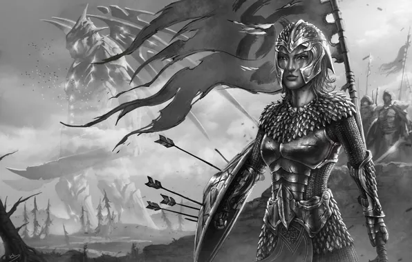 Girl, monster, armor, shield, arrows, banner