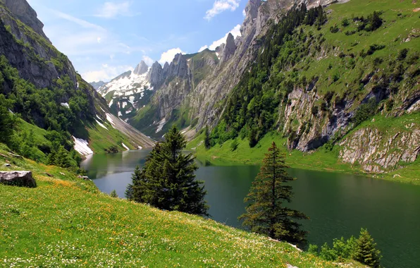 Trees, mountains, lake, rocks, Switzerland, Fälensee