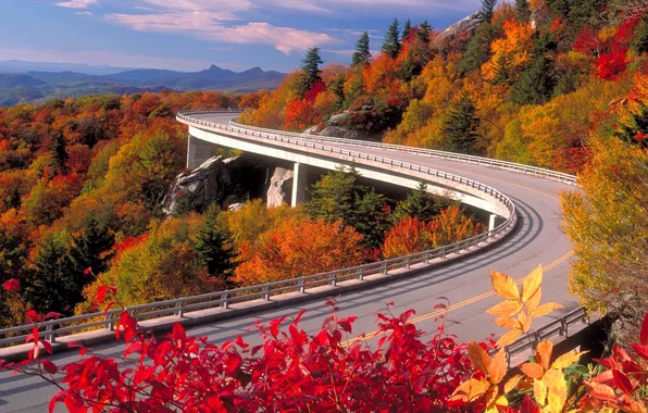 Road, autumn, viaduct
