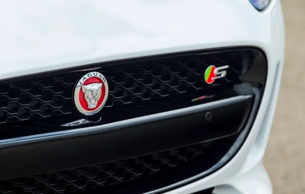 Design, coupe, logo, Jaguar, sports car, bumper, Jaguar F-Type Coupe 2014, V6-S