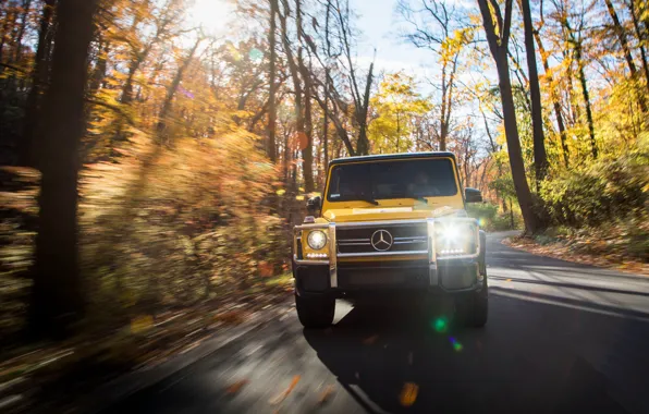 Autumn, Mercedes-Benz, speed, front view, AMG, G-Class, Gelandewagen, G63