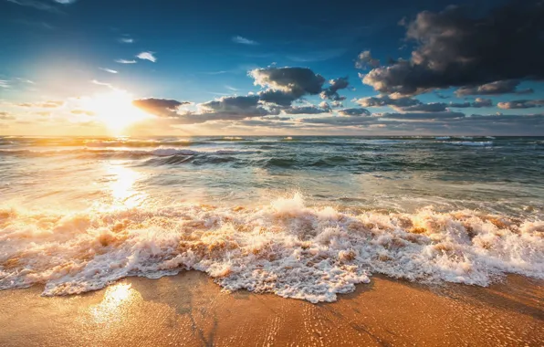 Sea, wave, beach, landscape, surf