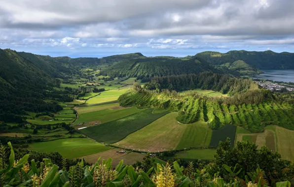 Picture sea, greens, field, the sky, clouds, trees, mountains, coast