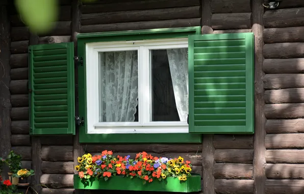 Window, Flowers, Curtain, Pots