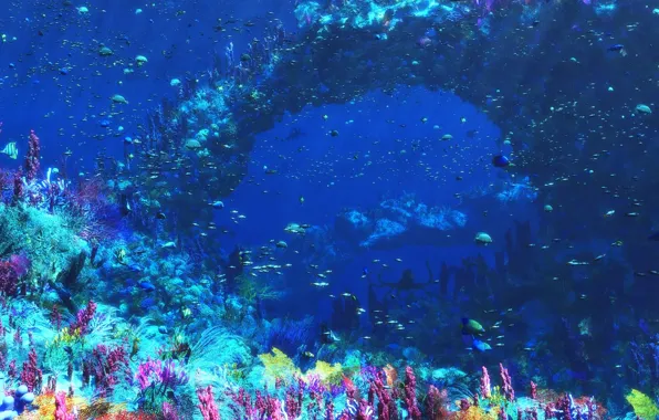 Picture sea, fish, graphics, corals, underwater world, Digital, An Octopus's Garden