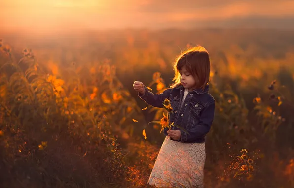 Field, sunset, flowers, girl