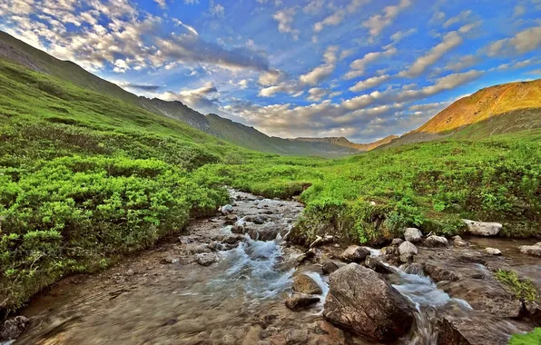 Picture the sky, clouds, mountains, river, stream, stones, the bushes