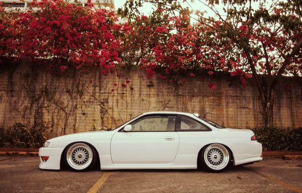 Picture flowers, wall, tuning, profile, white, Silvia, Nissan, white