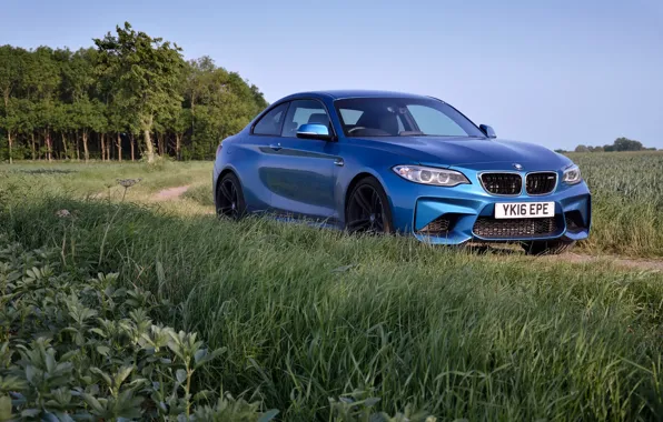 Picture BMW, Blue, Road