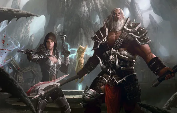 Picture Diablo 3, Demon Hunter, Archangel, Barbarian