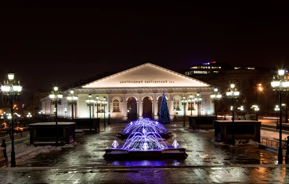 Picture light, night, the city, lights, Moscow, fountain, Museum