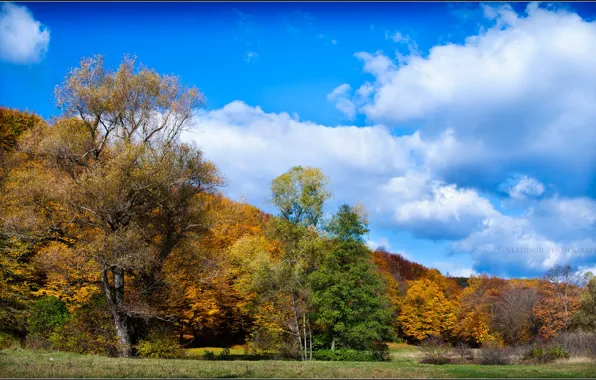 Picture autumn, the sky, clouds, trees, foliage
