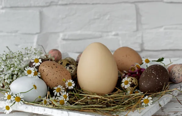 Flowers, wall, holiday, eggs, Easter, hay, stand, Easter