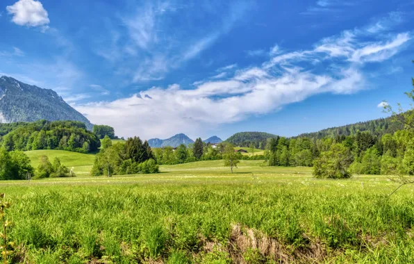 Picture field, Germany, Bayern, Rosenheim, Aschau im Chiemgau