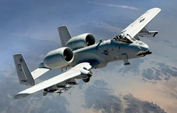 USA, Attack, A-10C Thunderbolt II, Auletta, US Airforce