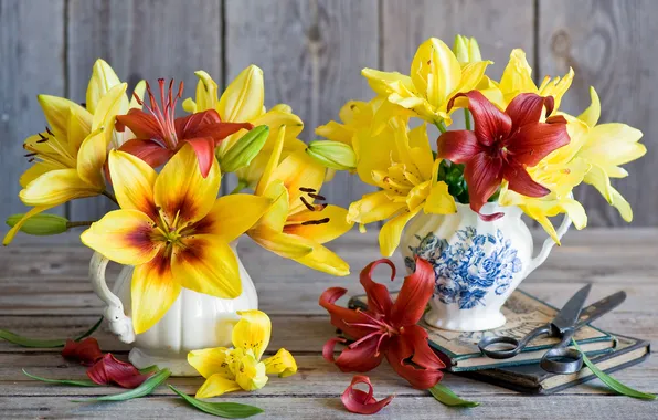 Picture flowers, yellow, red, Lily, book, scissors