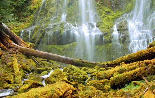 Rock, stones, waterfall, moss, USA, Oregon, Alder Springs