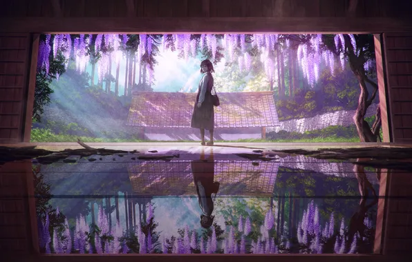 Reflection, room, Japanese, garden, bag, kimono, rays of light, stone wall