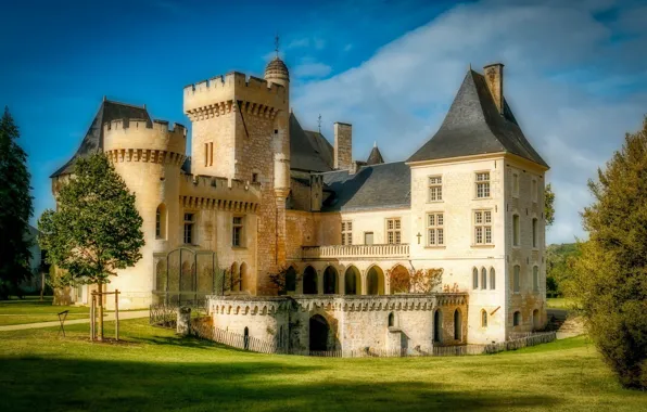 Picture the sky, trees, castle, lawn, Chateau Campaign