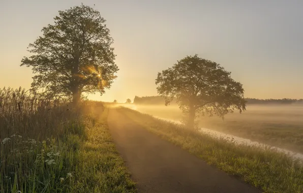 Holland, sunrise, Early Mornings, Regions, Kooiwijk