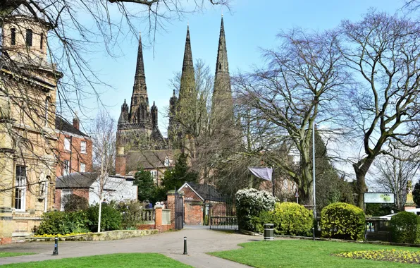 Trees, photo, gate, Cathedral, temple, England, Lichfield Cathedral
