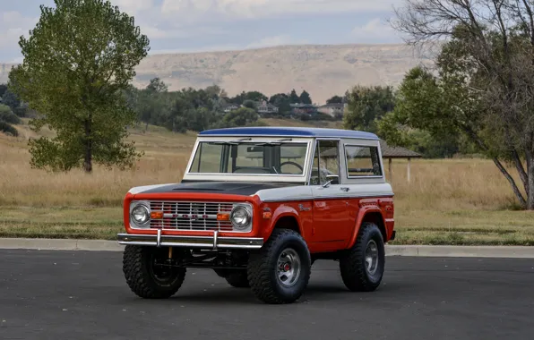 Picture Ford, SUV, 1971, Wagon, Bronco, Baja Edition, Stroppe