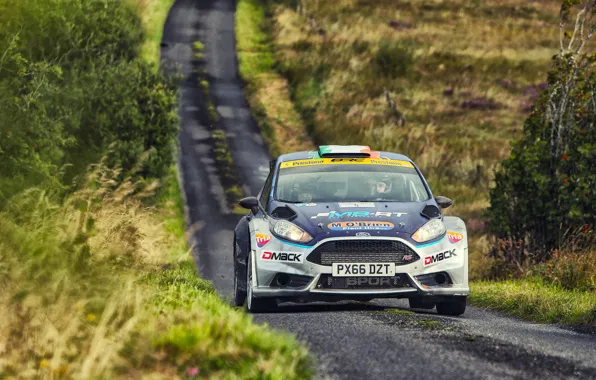 Ford, Auto, Sport, Machine, Ford, Race, Car, WRC