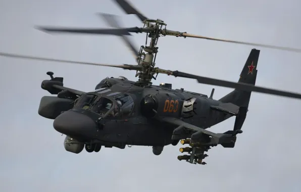 Picture flight, helicopter, Russian, Ka-52, shock, "Alligator"