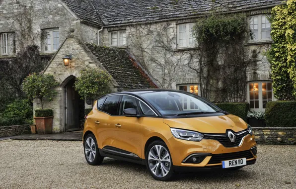 Yellow, Renault, Car, Scenic, 2016, Metallic