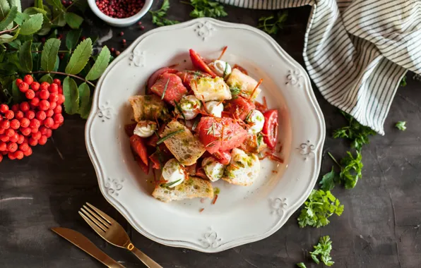Branch, cheese, tomato, Rowan, salad, crackers