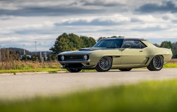 Road, Grass, Trees, Chevrolet, 1969, Camaro, Drives, Chevrolet Camaro
