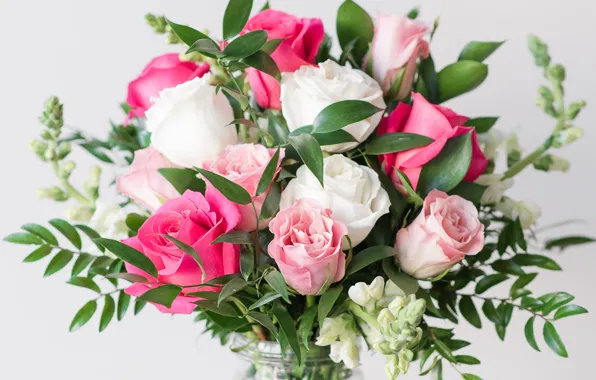 Roses, bouquet, gillyflower