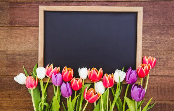 Flowers, bouquet, colorful, tulips, red, Board, white, wood